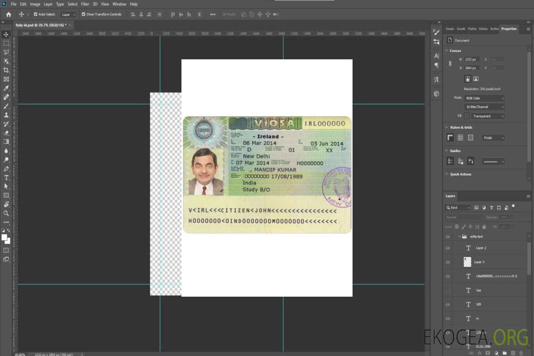 Visa IRLANDE template